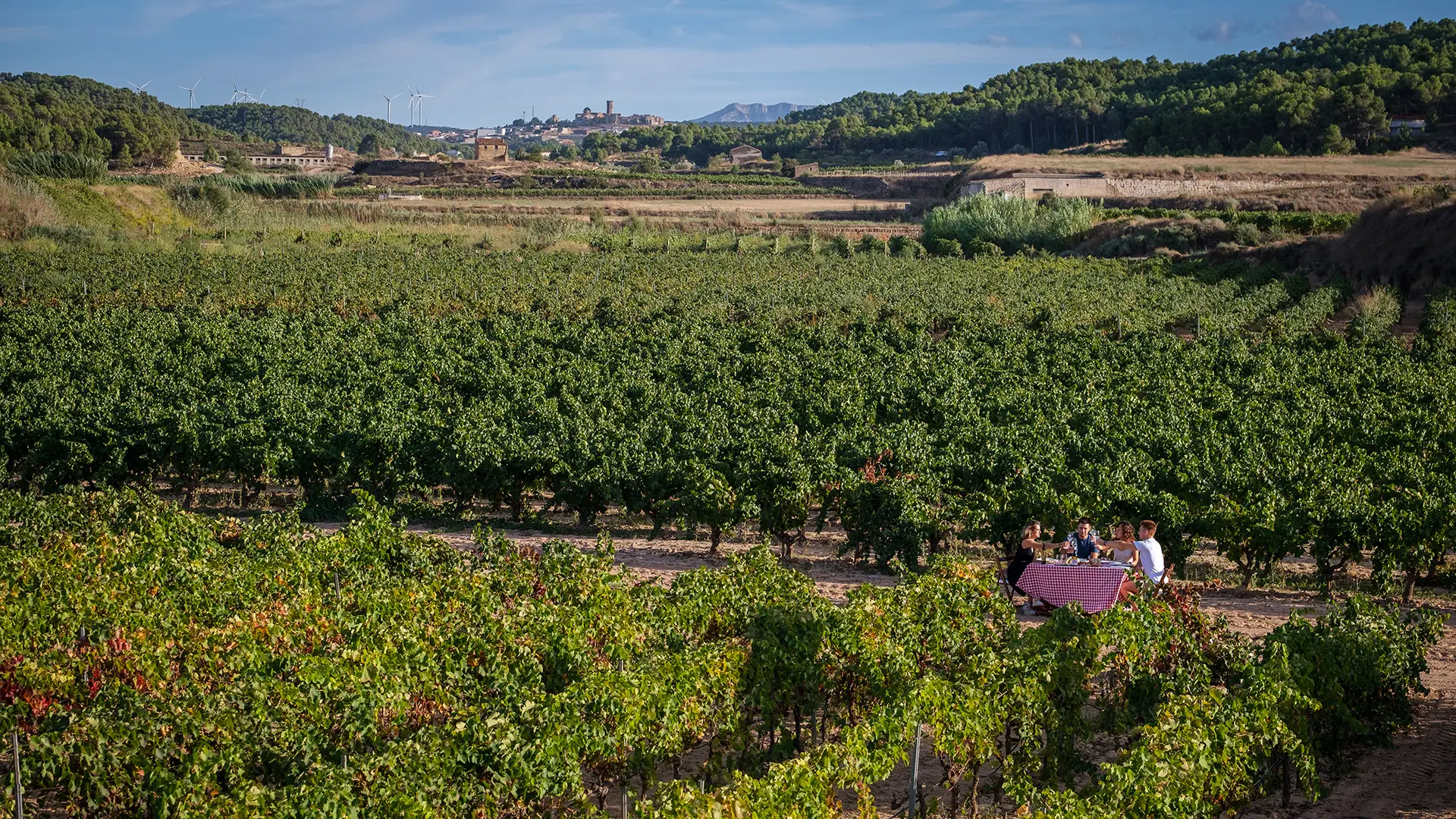 Enoturismo in Terra Alta