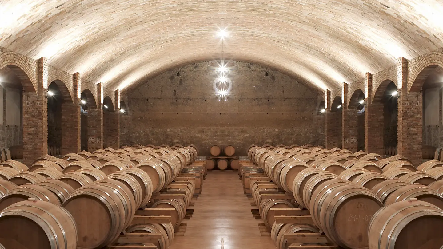 Bótes del celler Castell del Remei