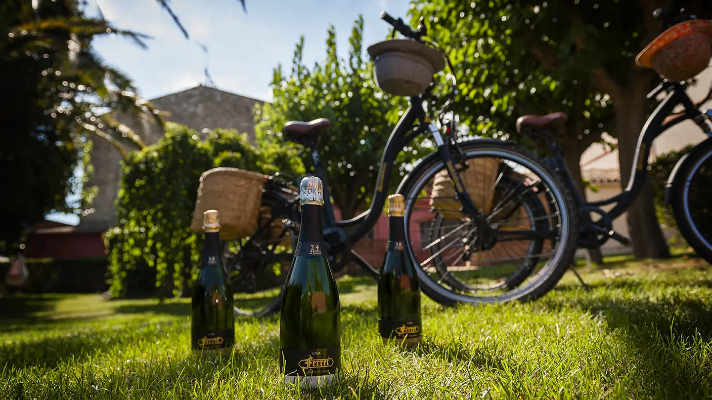 Bottiglie di cava nel giardino di Caves Ferret