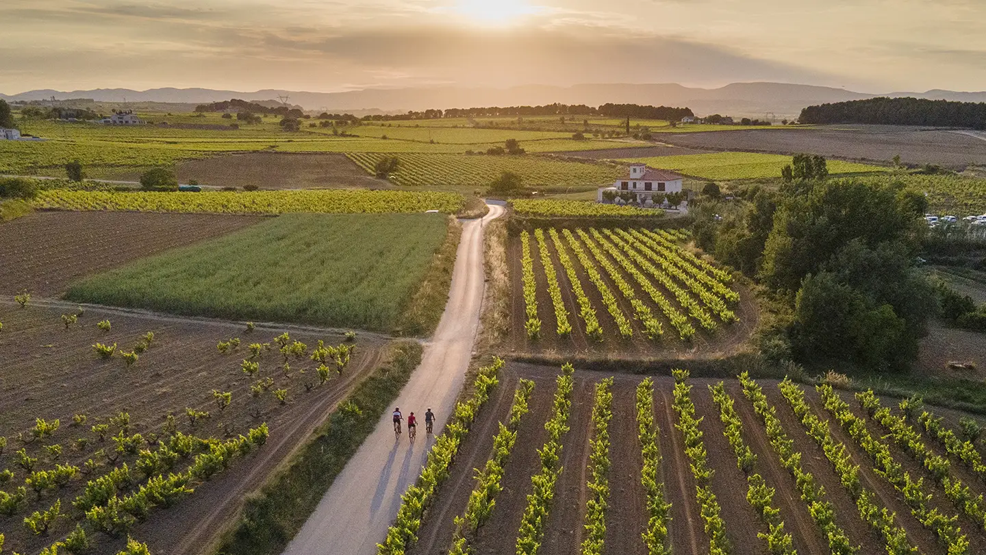 Ciclisti nel cuore del Penedès