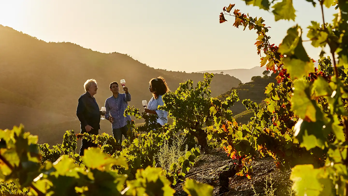 Esperienza assaggio vini nel Priorat