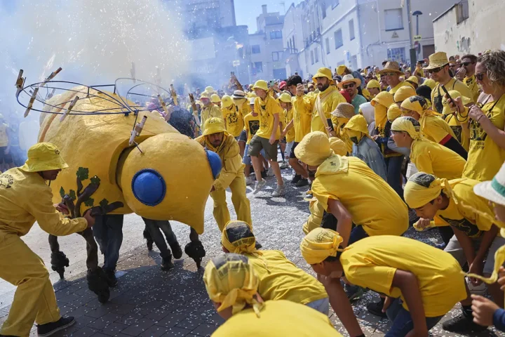 Festa de la Fil·loxera.