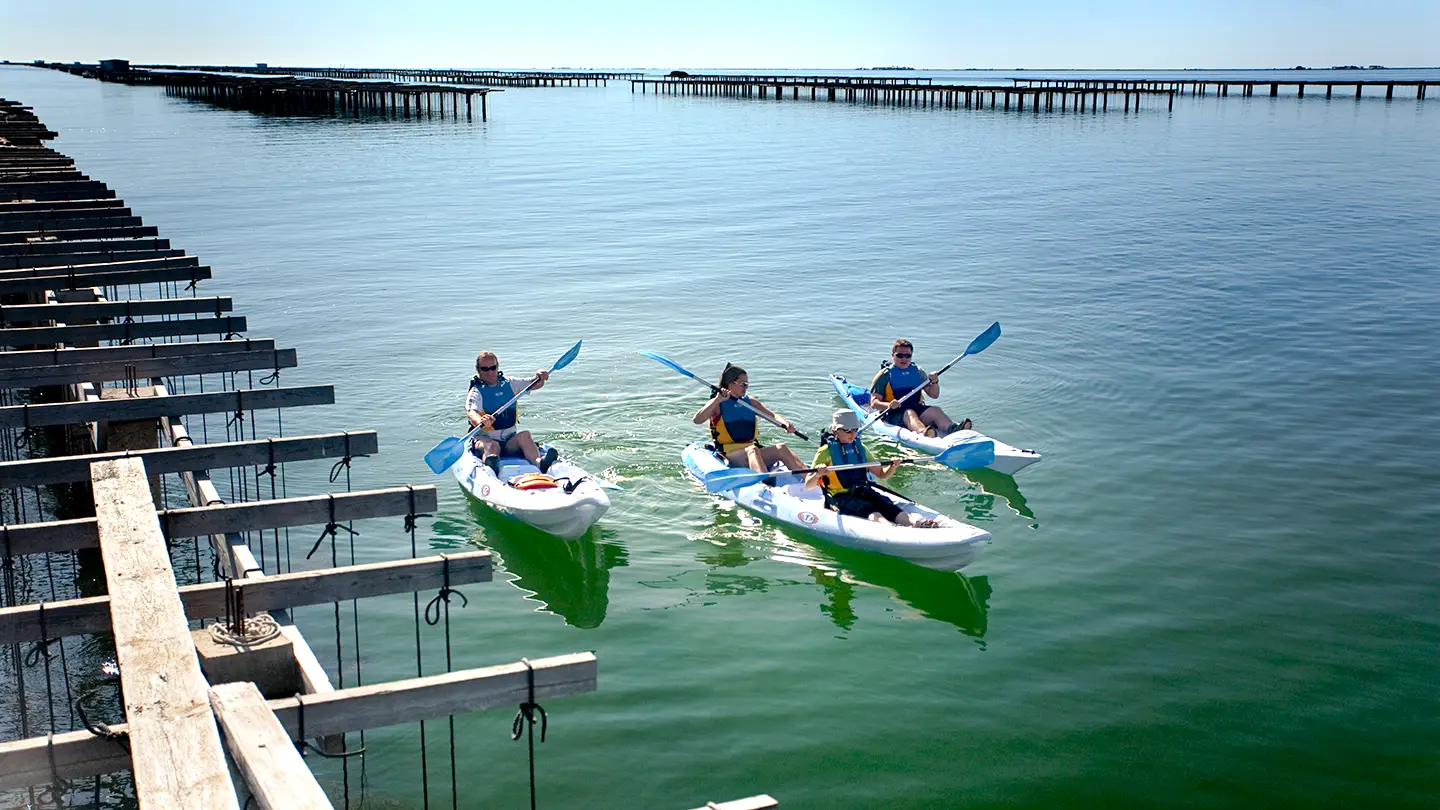 Kayak nel Delta de l'Ebre