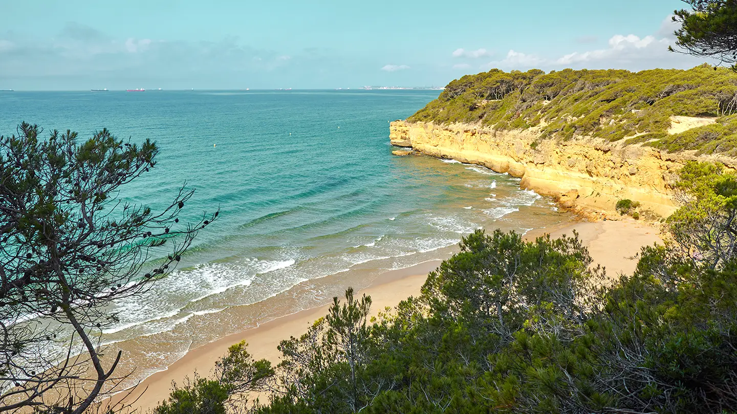 Platja de l'Arboçar