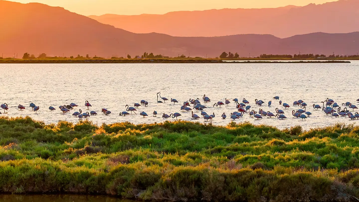 Delta de l'Ebro tramonto