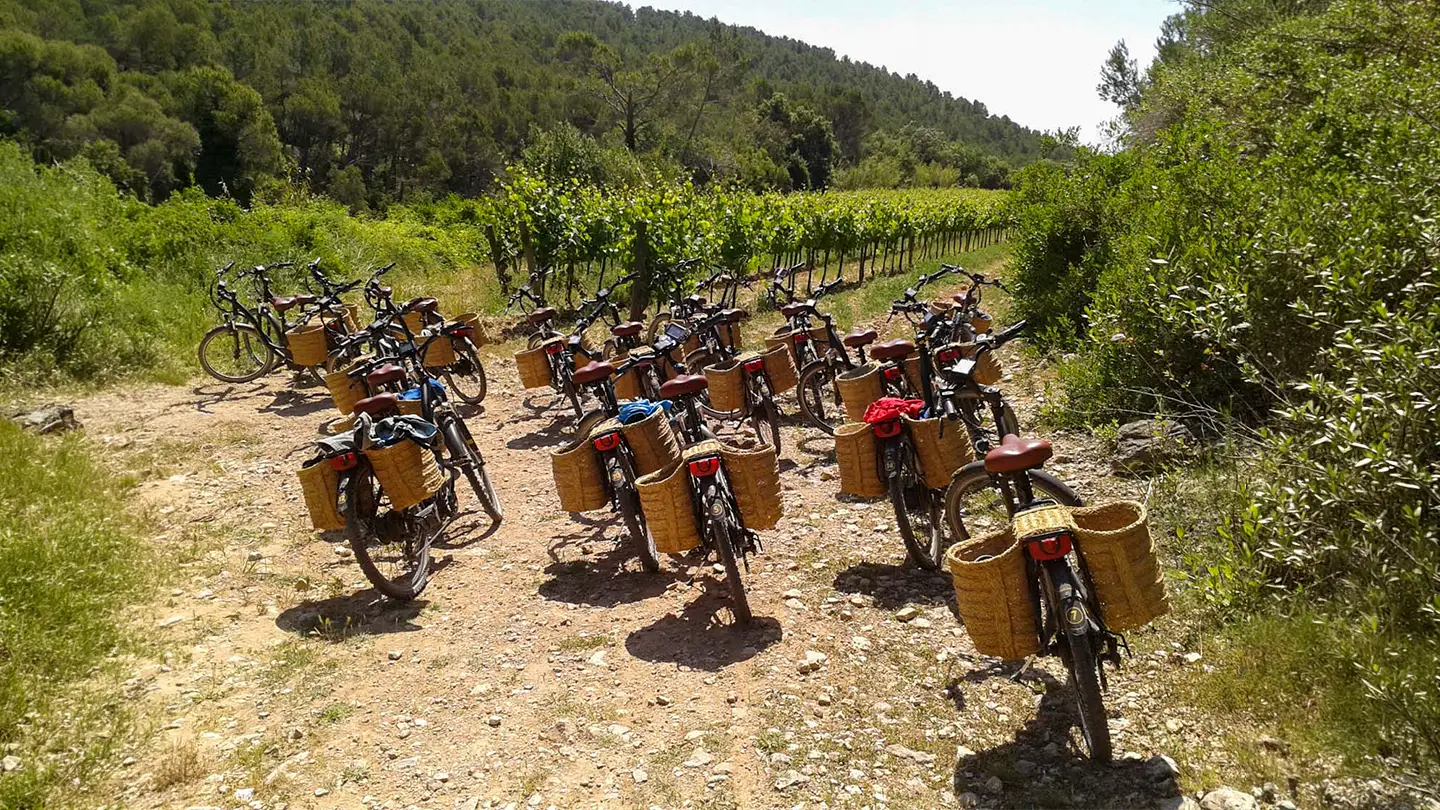 Enoturismo e-bike, Penedès