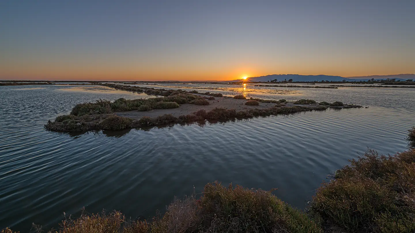 Laguna nel Delta dell'Ebro