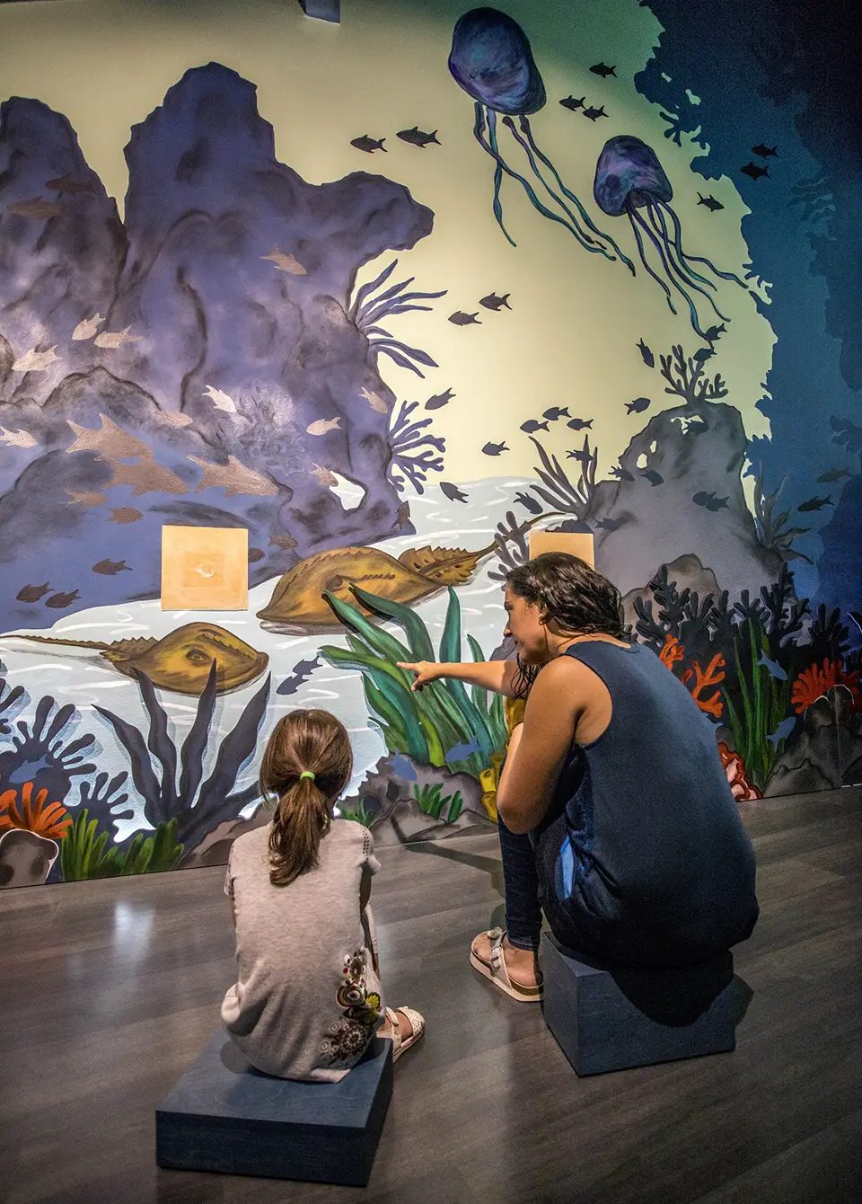 Museu d'Alcover