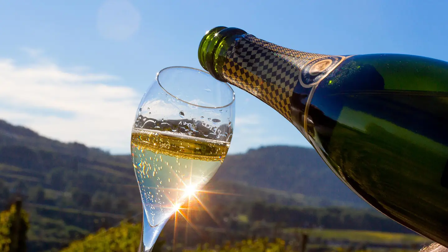Assaggio di Cava nel vigneto