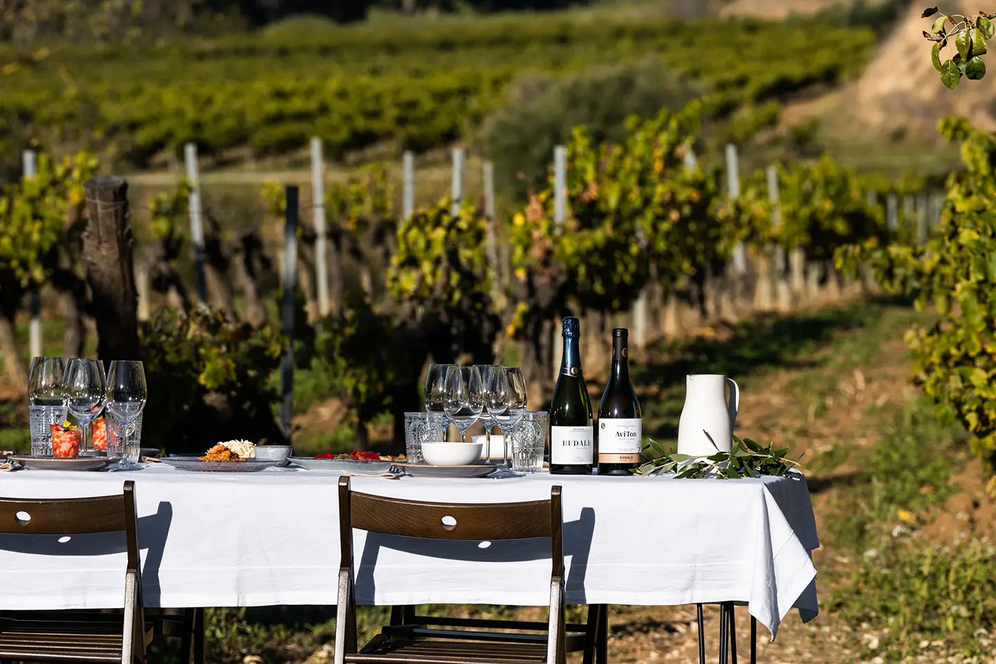 Degustazione in vigna