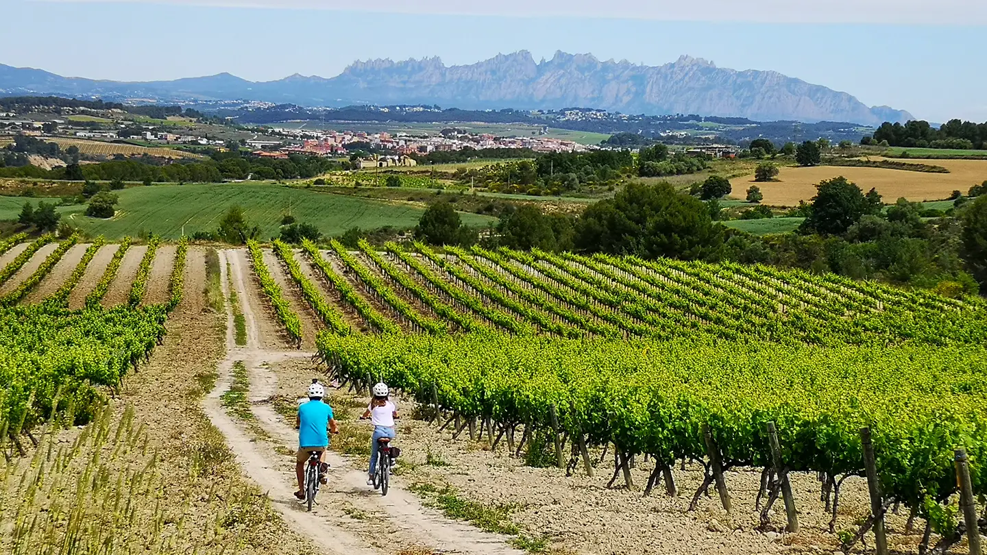 E-bike tour nel Penedès