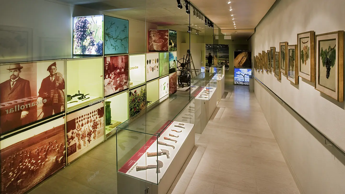 Vinseum Museu de les Cultures del Vi de Catalunya